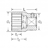 3/4" Dvylikakampė galvutė STAHLWILLE Nr.55A 2"