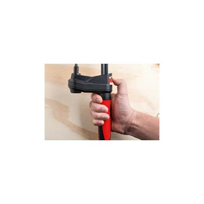 Greito užspaudimo spaustuvai BESSEY GearKlamp 600x60 mm