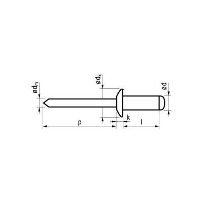 Kniedės MASTERFIX 1031 5x10mm, 1000vnt.