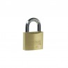 Spyna ABUS Citadel CB 40 mm